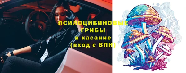 метадон Покачи